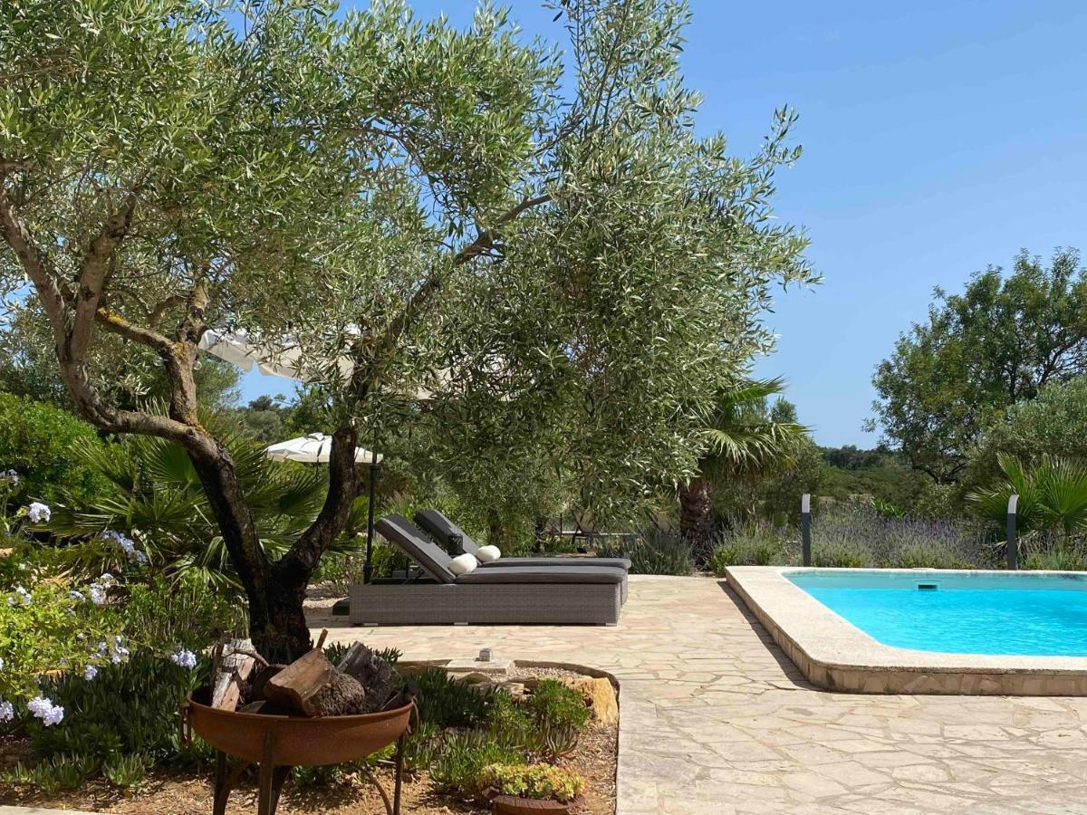 Casa De Olivos - Unique Apartments - Adult Only Traiguera Dış mekan fotoğraf